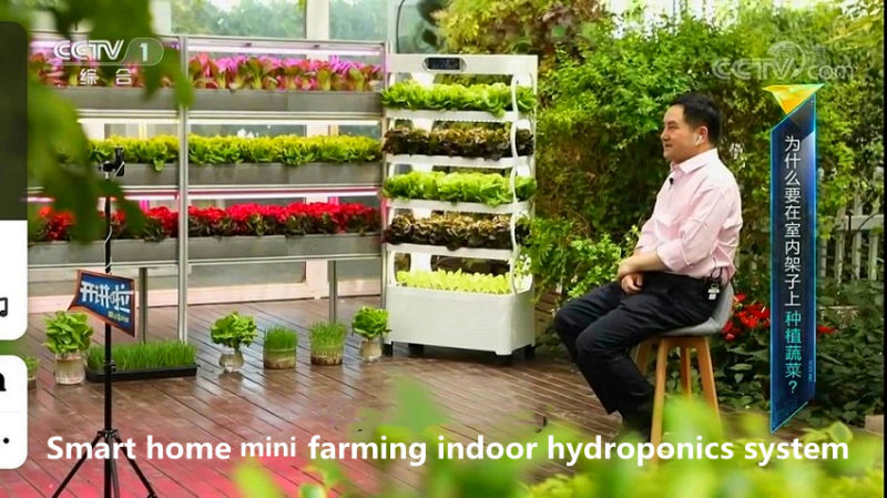 China Supplier LED to Growing Vegetables Deliciously Hydroponics Cultivator