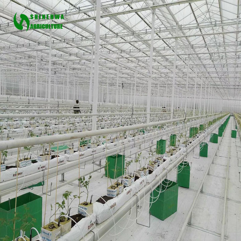 Agriculture Multi Span Polycarbonate Sheet Green House with Hydroponics