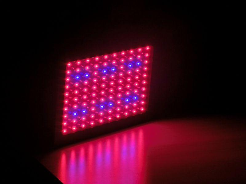 Top Ten on Amazon 300W LED Grow Light for Hydroponics