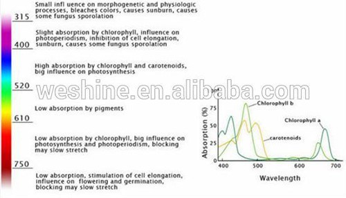 Chinese Best LED Grow Light Factory 24W LED Grow Light