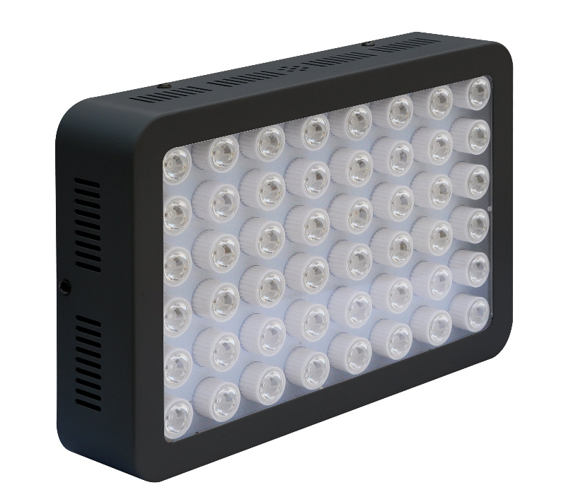 Brightness 300W 600W 1000W LED Grow Light for Indoor Plant Growing