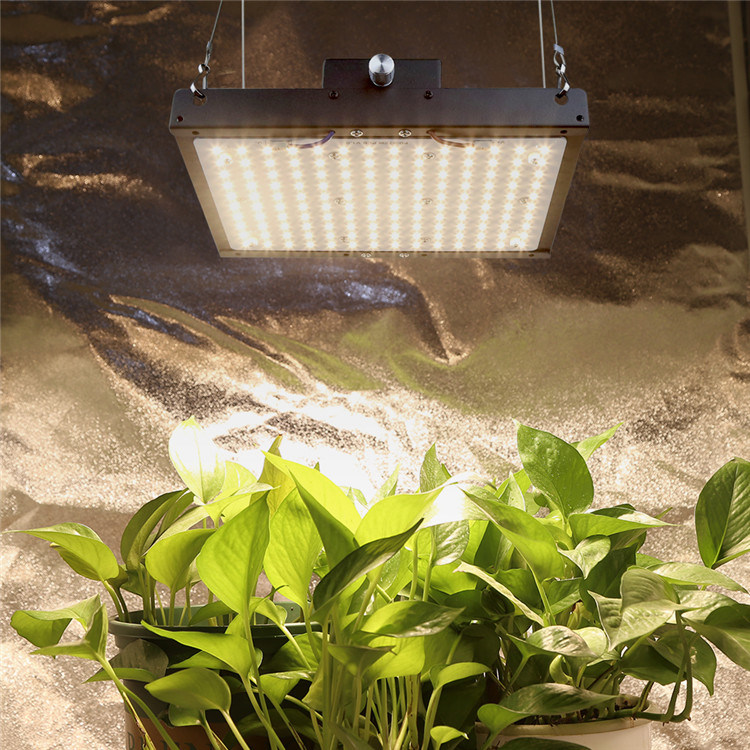 LED Grow Lights for Indoor Plants 75W 150W Quantum Board Lm301h Plant Growing