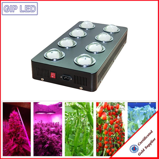 1000W Veg/Flowering Switches Full Spectrum COB LED Grow Lights