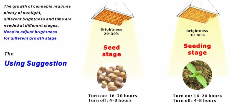 600W Qb Board Commercial Full Spectrum Quantum Growing Used Indoor Plant 600W 650W 720W LED Grow Light Hydroponic Horticultural LED Horticulture Grow Lighting