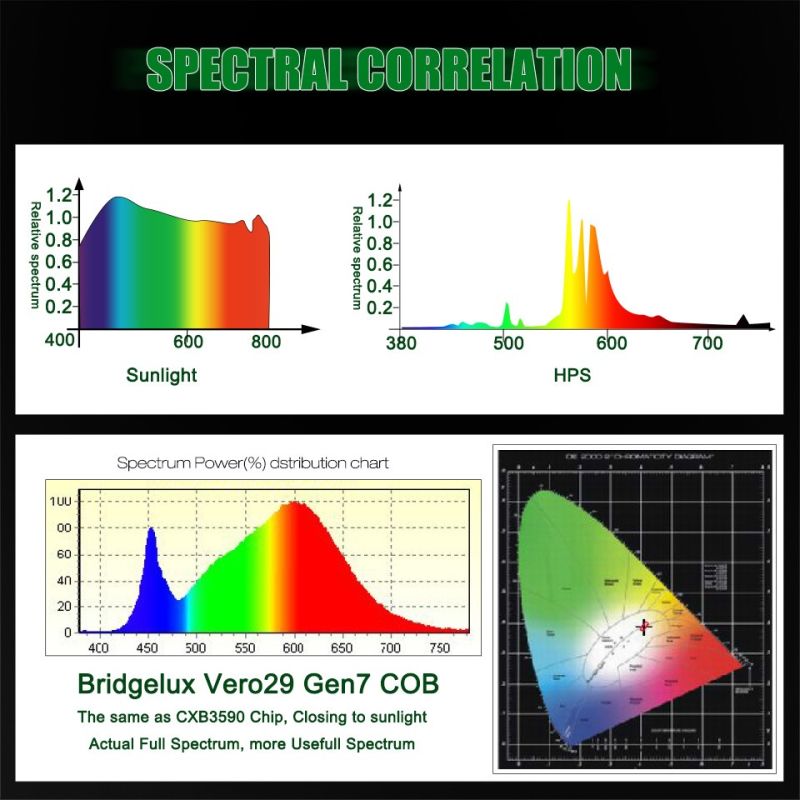 Wholesale Greenhouse Lighting Lumens COB LED Plant Grow Light for Indoor Growth Full Spectrum