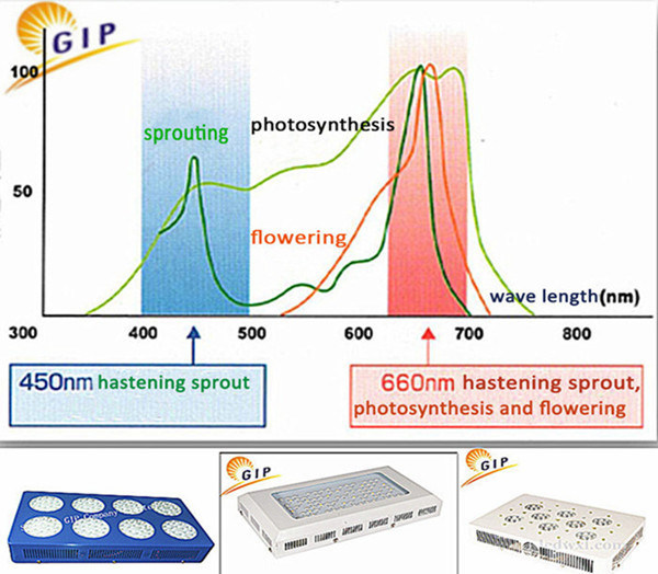 Chinese Best LED Grow Light Factory 24W LED Grow Light