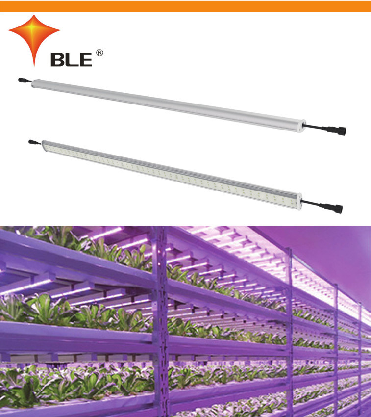 Indoor Greenhouse LED Plant Grow Lamps