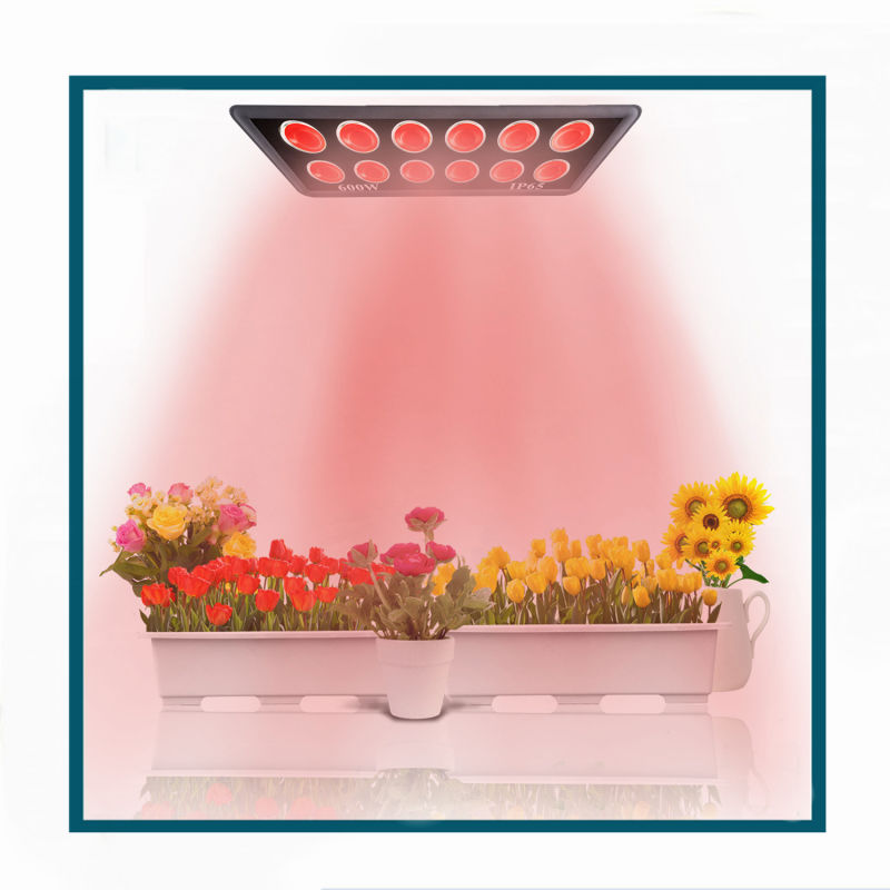 600W Full Power Full Spectrum LED Grow Lamp