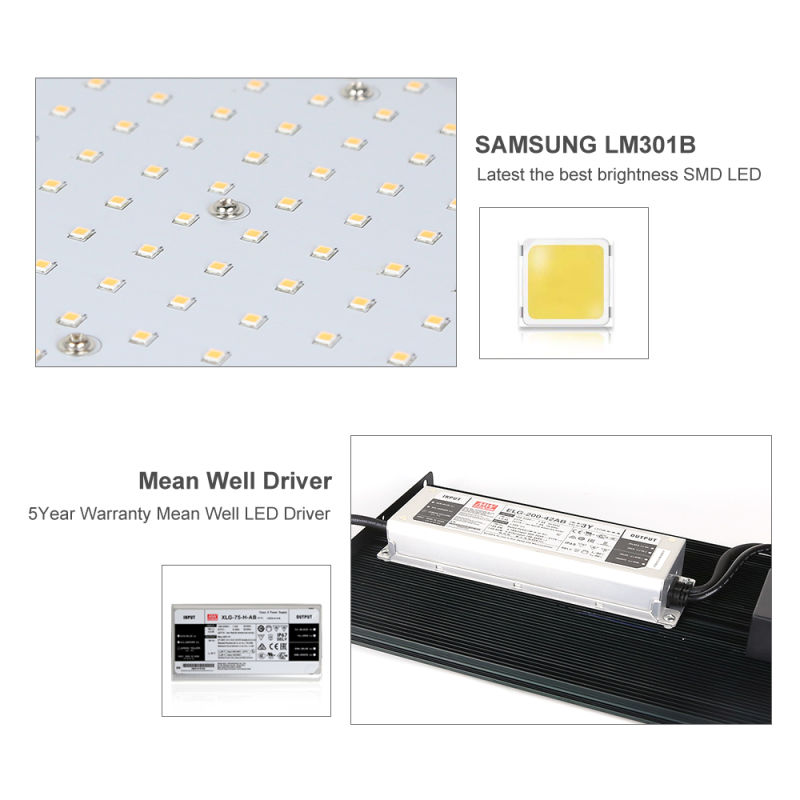 Upgraded Samsung Lm301b Quantum Board LED Grow Light for Canna Grow Tent