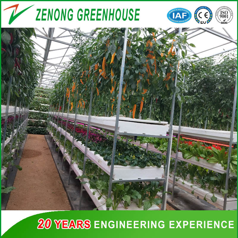 Commercial Soilless Cultivation Nft Hydroponic System Kinds of Hydroponic Equipment