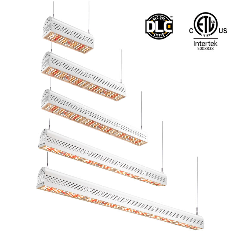 ETL 100W Hydroponics Indoor Plant Bulb for Grow Tent