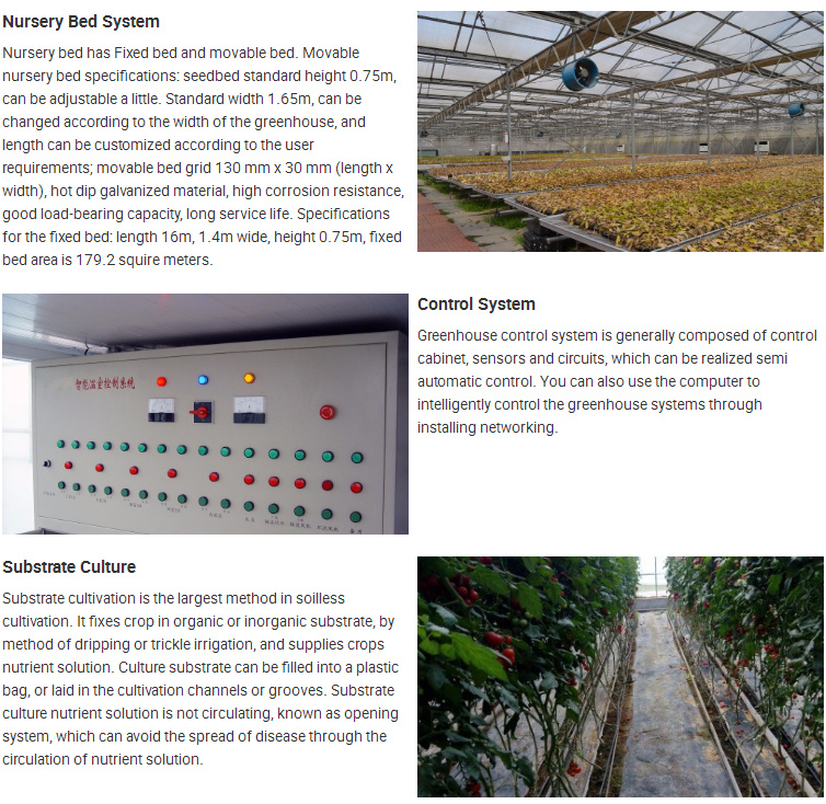 Hydroponic Growing Systems Greenhouse Film Farming Agricultural Greenhouses