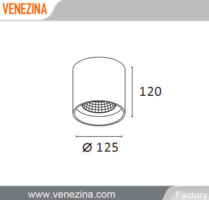 Ceiling Surface Mounted LED Lamp COB LED Down Light C6045-15W/20W