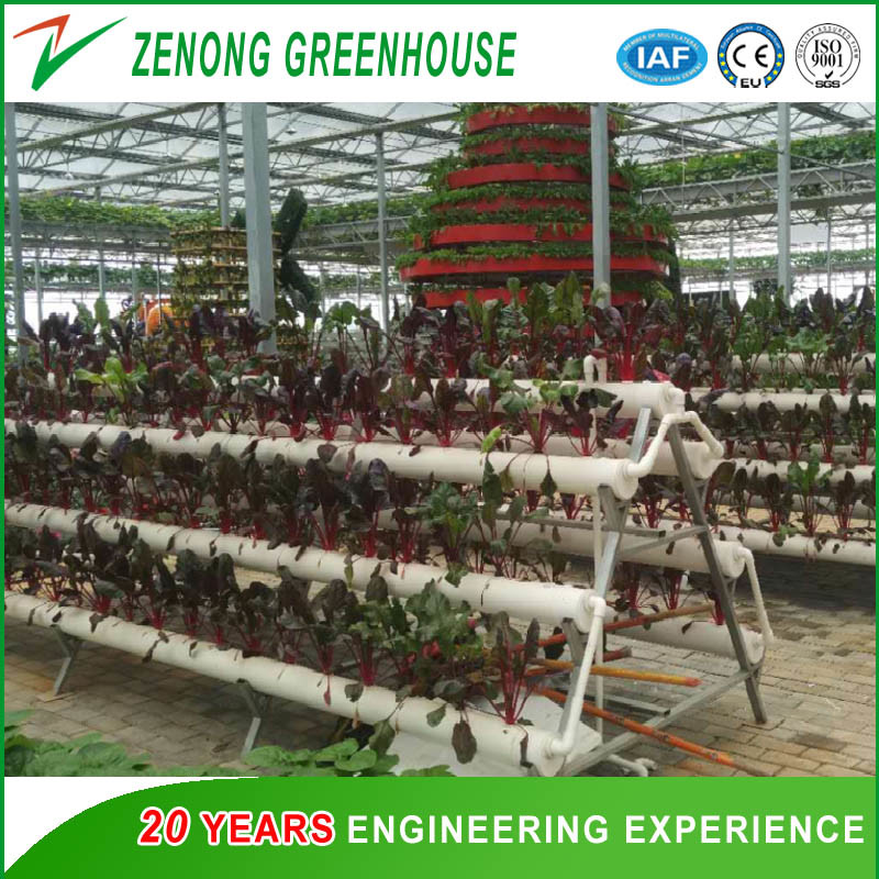 Commercial Soilless Cultivation Nft Hydroponic System Kinds of Hydroponic Equipment