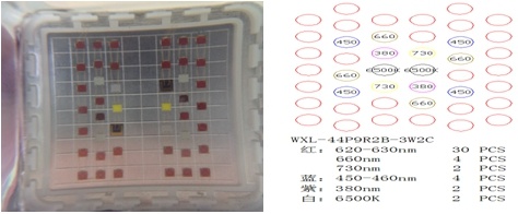 Gip 126W*6 Veg Bloom Switches COB LED Plant Grow Lights