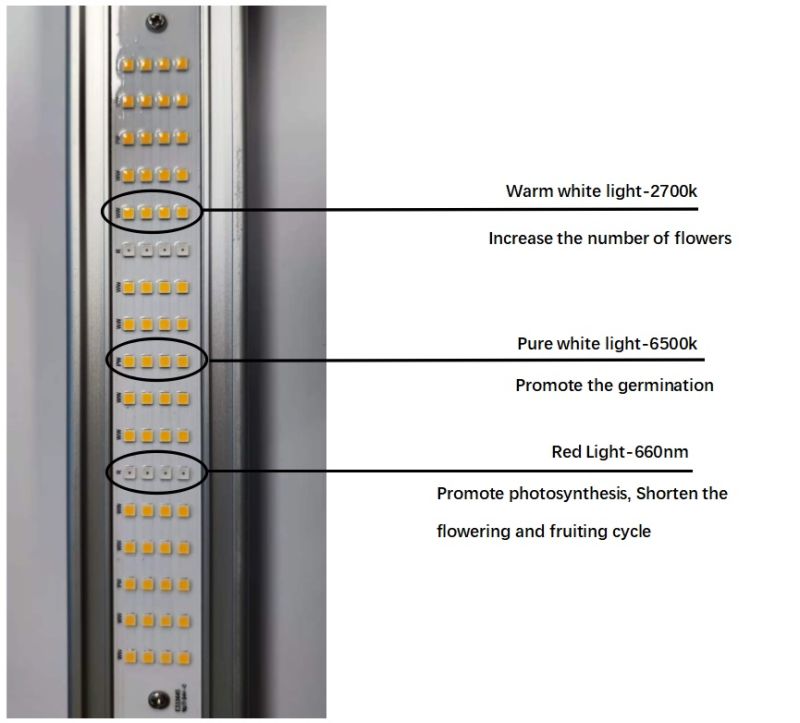 600W LED Grow Light for Indoor Plants, Horticulture Light for Greenhouse Plants, Dimmable LED Light Lamp