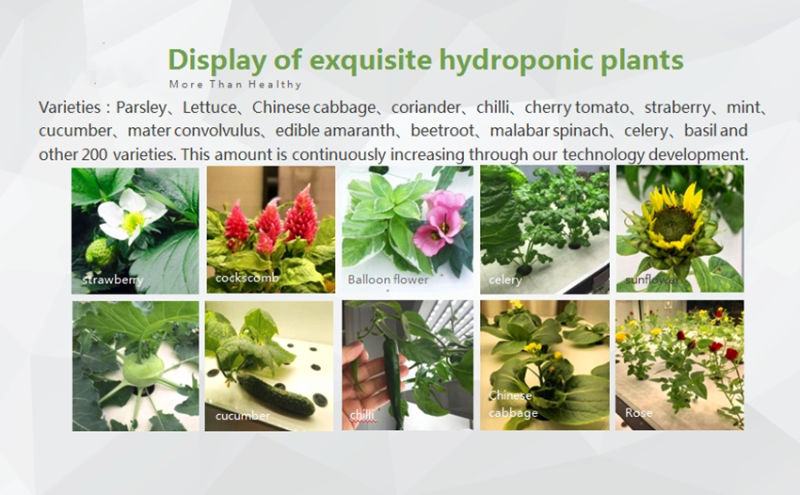 China Factory Supplier Indoor LED Hydroponic Soilless Cultivator