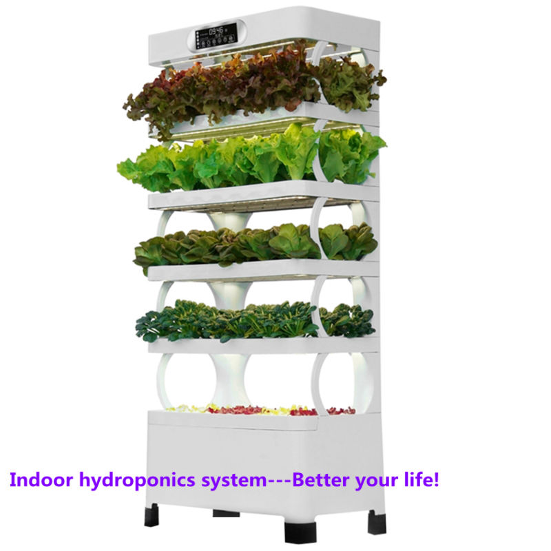 Small Hydroponics Growing Vegetable Indoor House Plants Hydroponic Cultivator