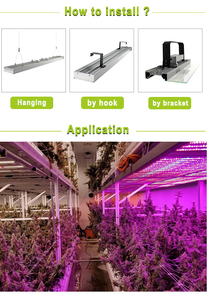 Smart New Hydroponic Integrated 600W LED Grow Lighting