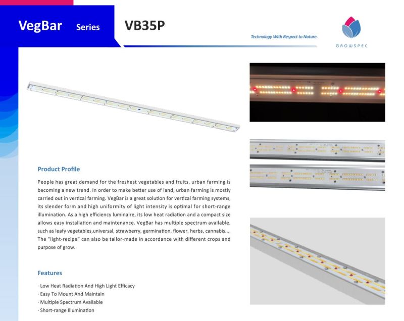 New Design Lm301b High Efficient LED Grow Lamp for Vegetables