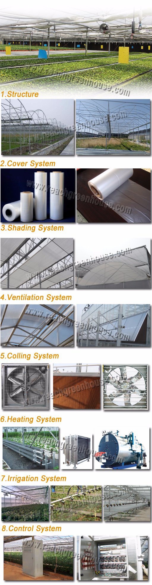 Plastic Film Tomato Greenhouse for Hydroponic Growing