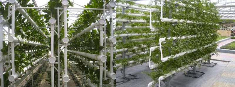 Commercial Soilless Cultivation Nft Hydroponic System Kinds of Hydroponic Equipment