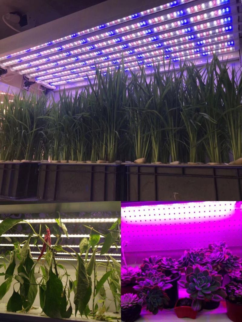 24W LED Grow Light Horticulture Light for Greenhouse Plants, RoHS