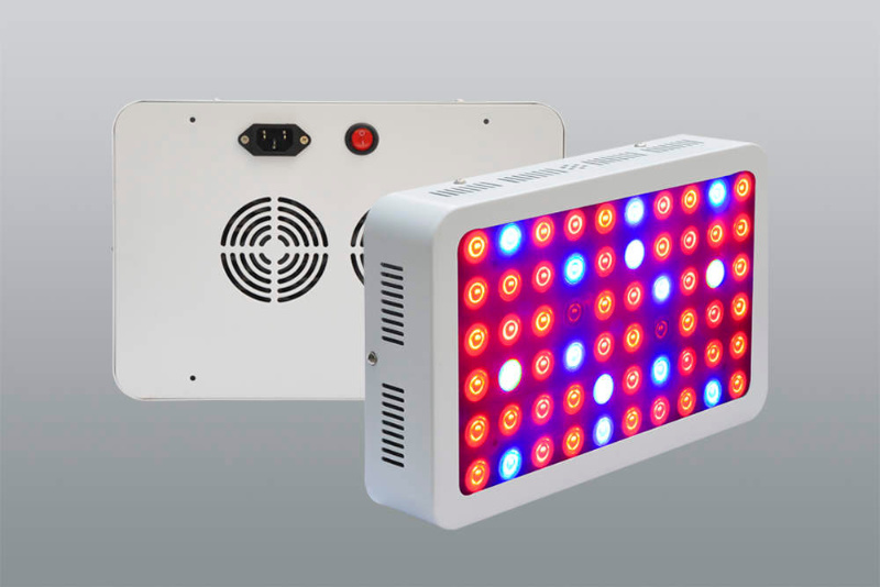 Brightness 300W 600W 1000W LED Grow Light for Indoor Plant Growing