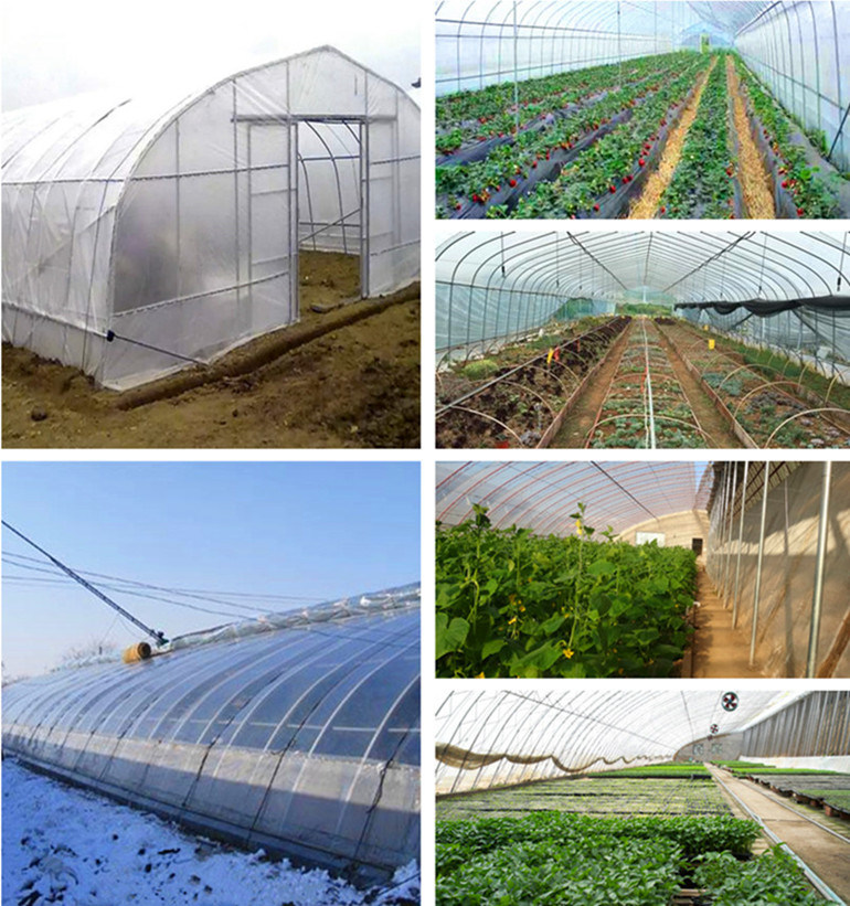 Multi Span Agricultural Film Greenhouse Tomato Greenhouse Strawberry Greenhouse