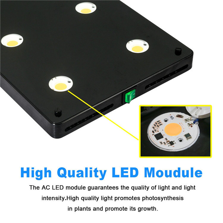 Wholesale Greenhouse Lighting Lumens COB LED Plant Grow Light for Indoor Growth Full Spectrum