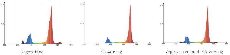 Hydroponic Full Spectrum LED Grow Light Plant