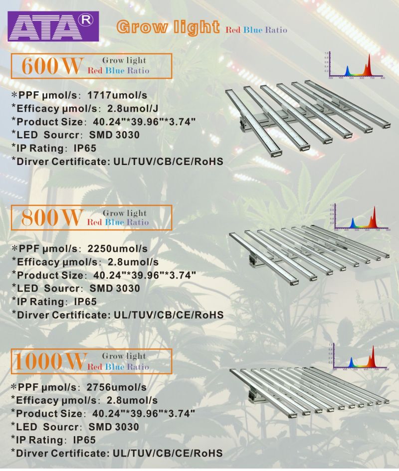 2020 ATA Generation Full Spectrum LED Grow Light 1000W High Quality Grow Indoor Grow Tent Complete Kit LED for Medical Plants