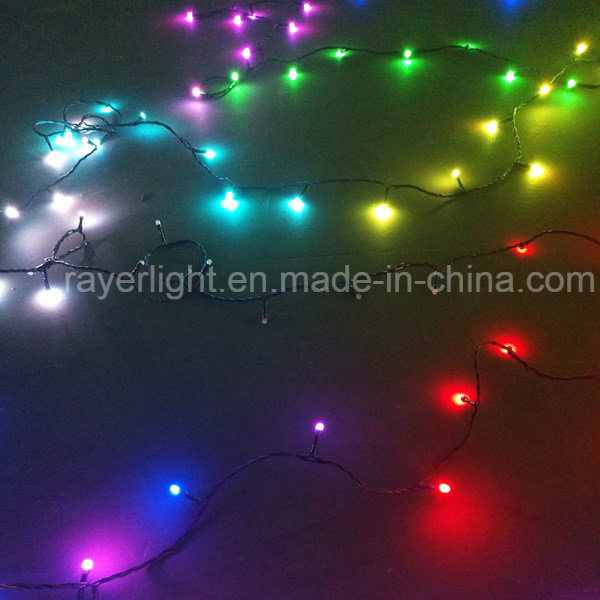 Addressable LED String Lights DMX Controlled Outdoor Christmas Lights on The Chain