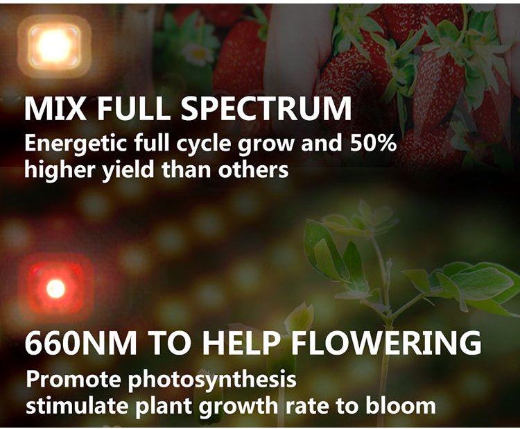 Full Spectrum Full Spectrum LED Grow Light Quantum Panel for Indoor Plants