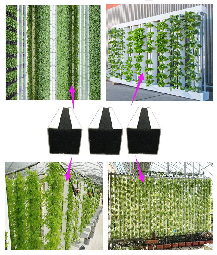 Greenhouse Substrate Planting Tank for Greenhouse Planting