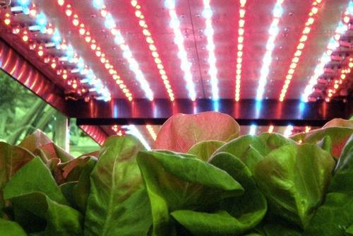 640W Linear Grow LED Light Bar