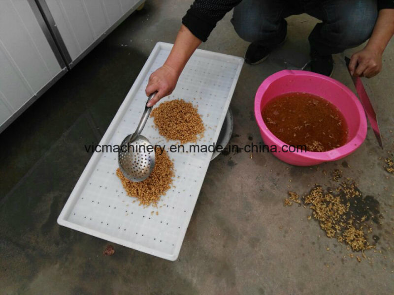 Hydroponic Fodder System Machine With Intensive Growth Lamp