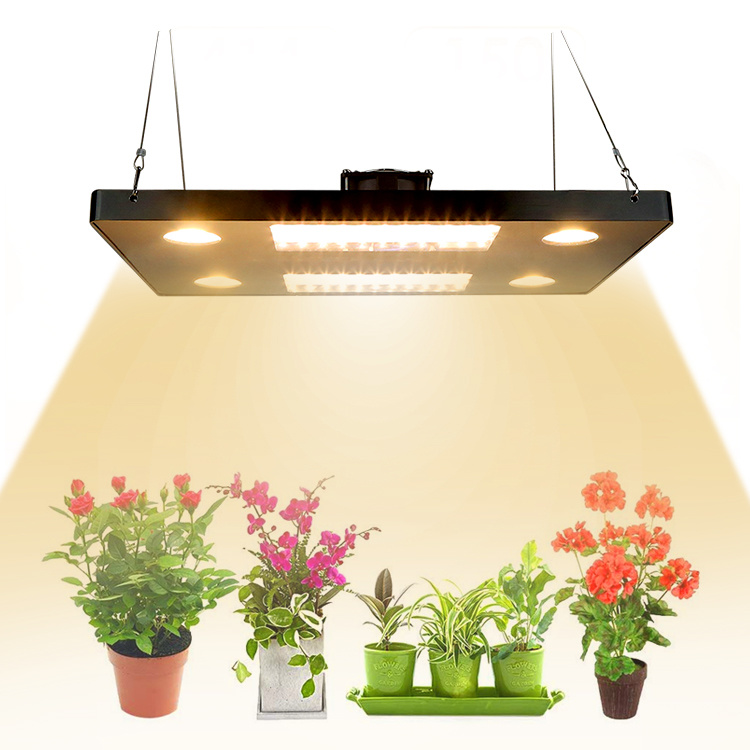 Professional Greenhouse Lighting LED COB Grow Light with Replace 600W HPS