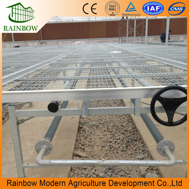 Customized Seedbed Growing System for Glass Tomatoes Greenhouses