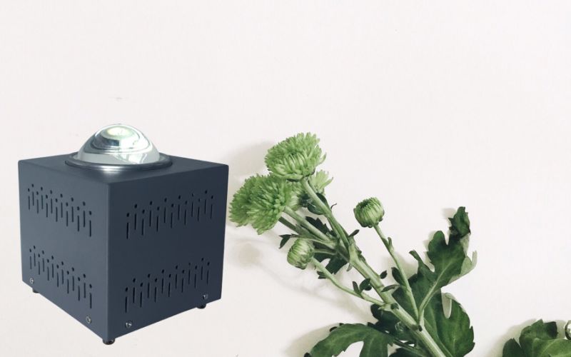 Full Spectrum Lamp Light LED Grow Light for Vagetables Lettce