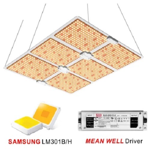 Foxgolden Customized Full Spectrum Hydroponic Greenhouse 600W LED Plant Growth Light for Indoor Plants