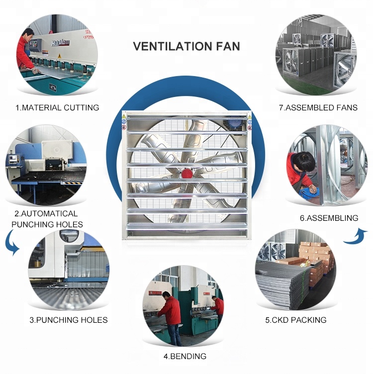 Greenhouse Exhaust Fan/Centrifugal Exhaust Fan for Poultry Farm and Greenhouse