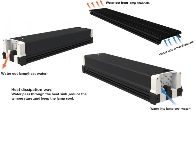 High Power LED Grow Light 800W Full Spectrum Plant Grow Light