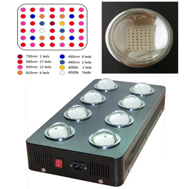 800W 1000W Greenhouse LED Plant Grow Lights for All Stages