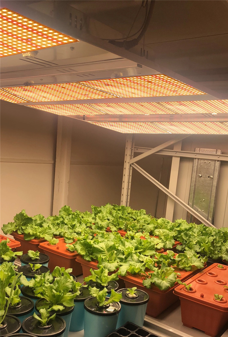 China Grow LED Lights LED Grow Light Panel IP65 Waterproof Full Spectrum Quantum LED Board Grow Light