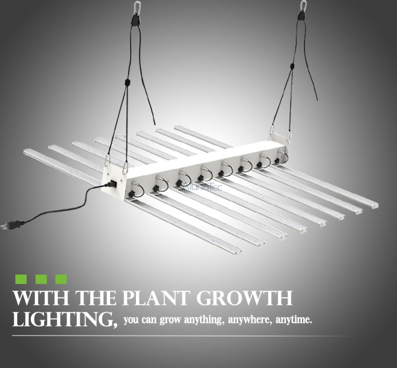 High Quality Growth Plants Light Growth Indoor Lamp