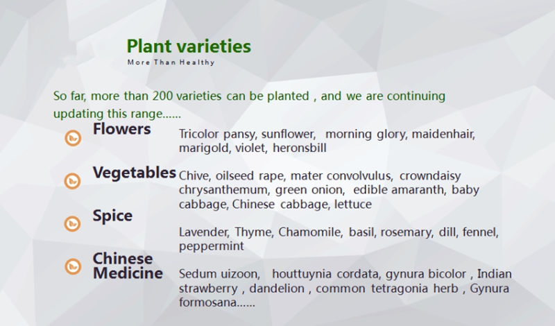 Wholesale LED Complete Hydroponics Growing System Soilless Cultivation