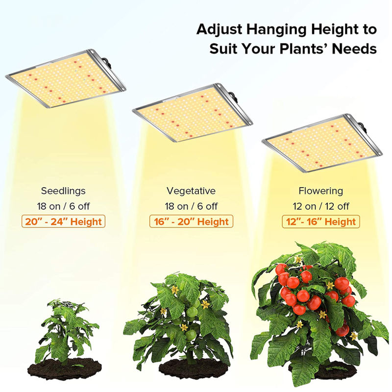 LED Growing Lights for Plants 100W LED Grow Lights for Indoor Plants