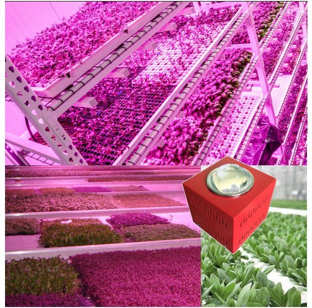 132W 44X3w COB AC85~265V Full Spectrum LED Grow Light