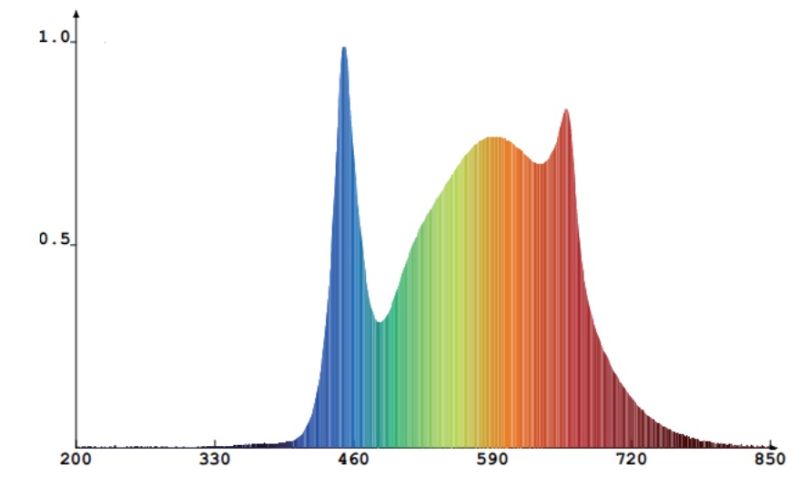 Hydroponic Full Spectrum LED Grow Light Plant